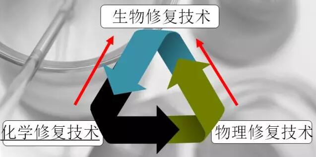 水體(tǐ)修複技術(shù)