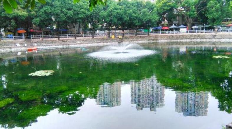 水體(tǐ)修複技術(shù)